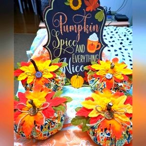 fall Sign 13" beautiful handmade pumpkins 16" around free 🎁 with order